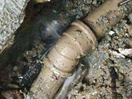 Valor Caça Vazamento