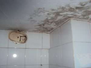 Infiltração na laje