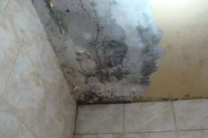 Mofo e infiltração na laje