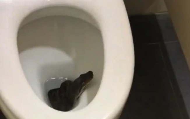 Cobra privada