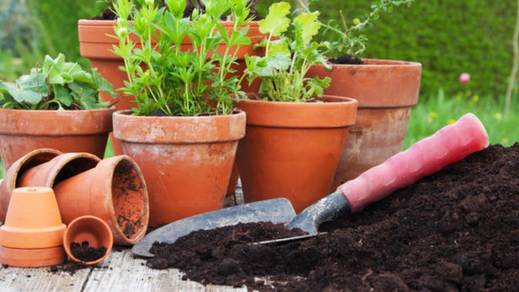 Sindicato Rural de Socorro divulga calendario de cursos gratuitos